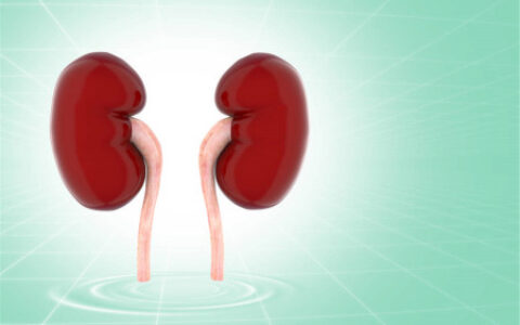 补肾吃什么？4种食物堪称“养肾小能手”，男人不妨适当多吃点（补肾吃哪些食品）