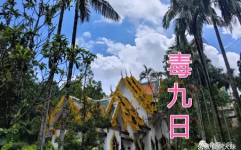 “九毒日”到了，“3菜不上桌，福气不进门”，3菜指啥？咋吃受益（传说中的九毒日是什么意思）