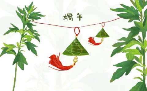 今年端午节哪天割艾草好？老人说“前三后四最合适”，有啥说法？-几月份割艾草