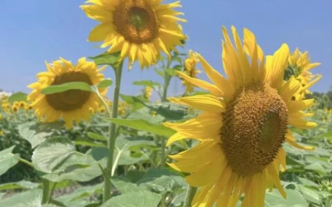 普通人的生活从来都只有咬牙坚持，没有退缩之路-普通人就应该过普通的生活
