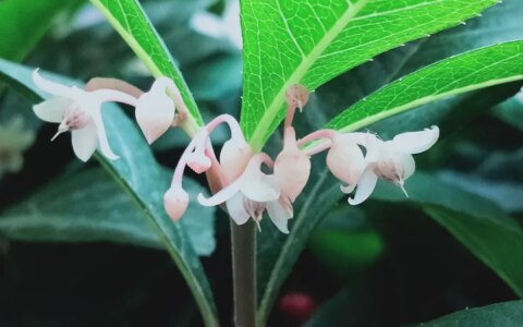 端午节：六月十四日，2021年，365日，一日七话题-6.14端午节放假