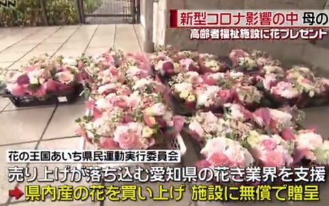 中国和日本的母亲节都是同一天……-中国和日本的传统节日