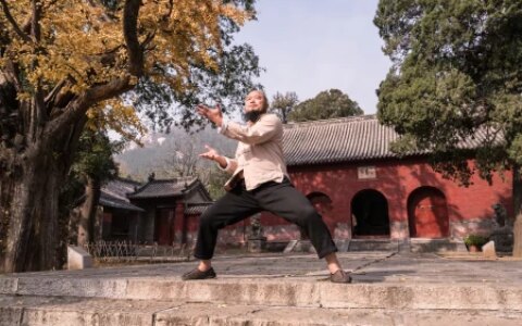 河南5日游跟团多少钱 少林寺 龙门石窟 白马寺 云台山 清明上河园-洛阳 少林寺 龙门石窟旅游团