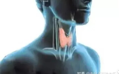 甲状腺有结节？老中医一张方子，疏肝理气，化痰散结，化解难题-甲状腺结节中医方剂