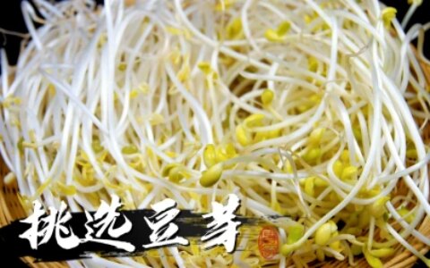 怎样才能买到健康好豆芽？菜农：教你3个方法，远离“毒”豆芽（如何买豆芽）