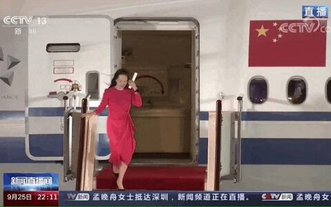 左岩：“破茧成蝶”孟晚舟，回国后首次公开露面，近10万蝴蝶胸针增添优雅自信本色！-孟晚舟左脚腕戴的是什么