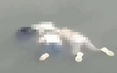 35岁妈妈带两个女儿自杀：她不是因为傻-母亲带着两个孩子从24楼跳下