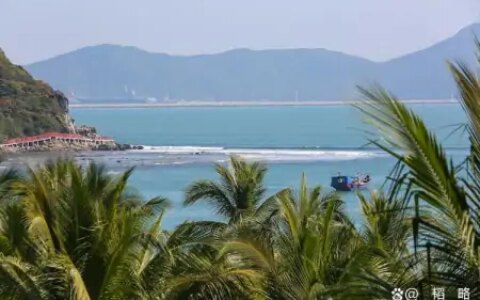 双子座的真假难辨，你了解他们吗？（双子座真实吗）