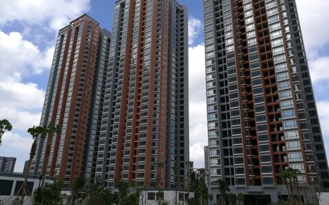 全国已有6亿栋建筑却还要盖房？温铁军：房子绑架了教育和医疗（温铁军谈中国房产）