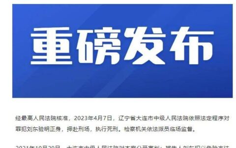 大连开宝马撞人致5死案司机刘东被执行死刑（大连宝马撞人视频原视频）