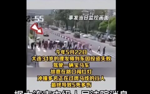 大连开宝马撞死5人男子被执行死刑，为啥让他多活了近两年？（大连开宝马撞人司机被判死刑）