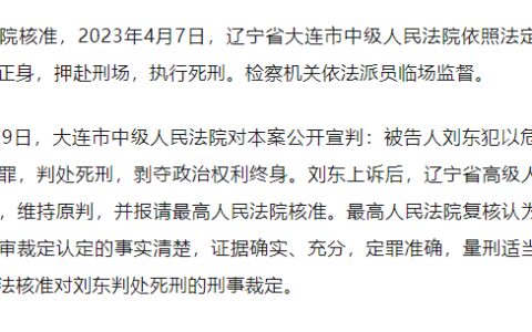 大连“宝马撞人案”罪犯刘东被执行死刑（大连宝马撞人案一审宣判）