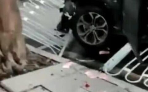 广州男子驾宝马连撞致五人死亡，判决死刑，大连撞人罪犯执行死刑（大连男子开宝马撞）