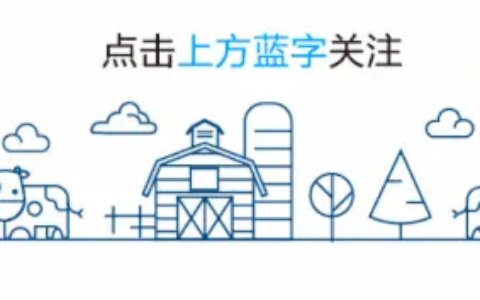 死刑！大连男子开宝马闹市区撞死5人，监控视频公开！遇难家属的一句话太戳心了……（大连宝马开车撞人视频）