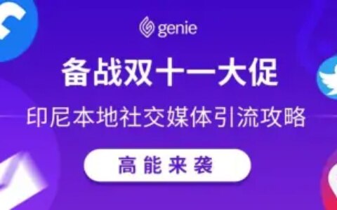 11.11大促跨境店铺如何引流？印尼本地社交媒体营销实用指南！-印尼电商渗透率高吗