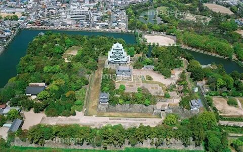 巨型怪鱼入侵护城河！日本人民愁得慌，还数中国人民有办法（巨大鱼怪兽）