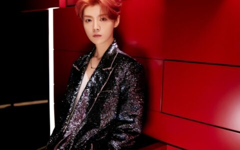 鹿晗兑现三年前承诺，邀请医护粉丝看演唱会，相互奔赴让人破防-鹿晗去医院医生说幸好来得早