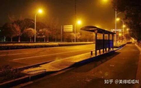 女大学生坐反公交车报警, 哭的稀里哗啦称快20了, 有人叫巨婴（女孩上学遭公交车碾压是什么节目）