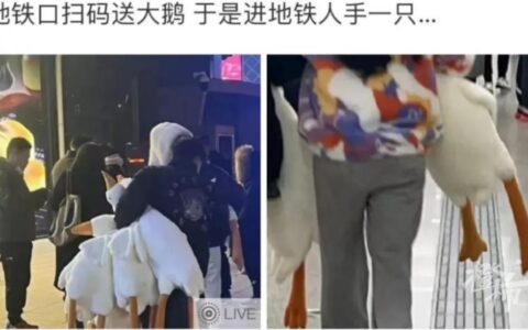 开养老金账户送大鹅，银行们真的很拼！-养老金发放用什么银行卡