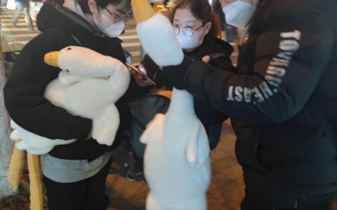 多个地铁站外有人“扫码送大鹅”，市民：这是啥套路？-地铁扫码的人很挣钱吗