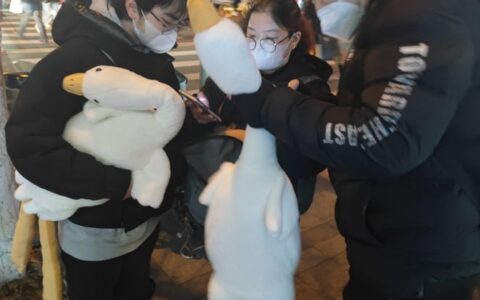 北京多个地铁站外有人“扫码送大鹅”-北京地铁上让扫码的人干嘛的