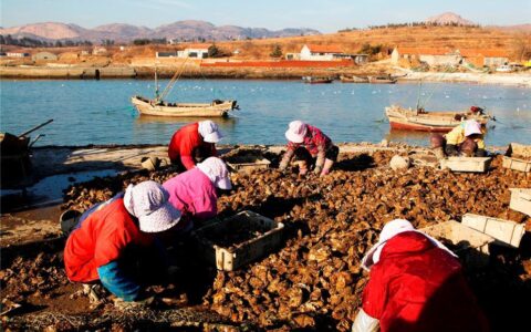 各行各业忙起来了！ 度小满用技术动能赋能实体经济振兴（度小满金融科技是干什么的）