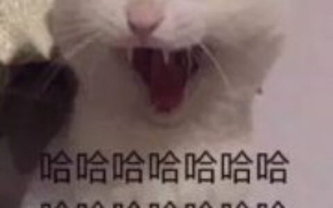 神仙姐姐单身了，醒醒，快别喝了-神仙姐姐yiya