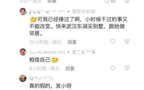 刘亦菲曾被韩国女生霸凌：揪她头发，或者在她背上乱画东西！-刘亦菲韩国网友评论视频