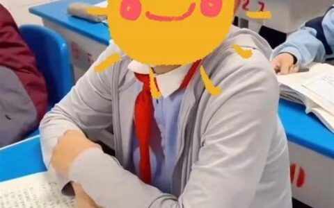 13岁男孩被老师发现是公司老板？不必过度解读（不料被老师发现）