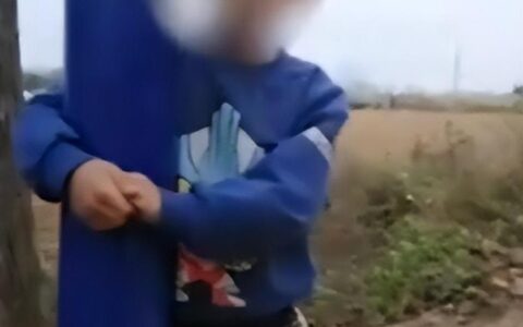 河南南阳惨案！6岁娃意外身亡，父签谅解书却引离婚纠纷，母决意向法律维权！-南阳市特大凶杀案