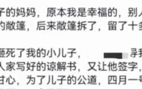 河南6岁孩童被砸身亡, 父亲私下收3万签谅解书, 妻子离婚坚决起诉-河南6岁男童