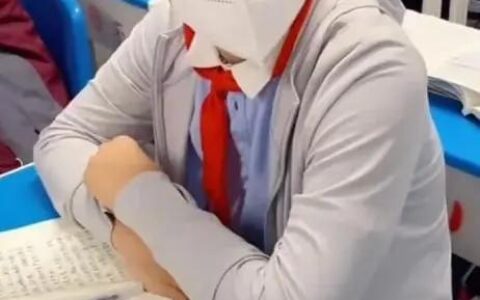 校方回应13岁学生是公司老板：不是法人也不可能是，其他还在了解（13岁的兼职软件）