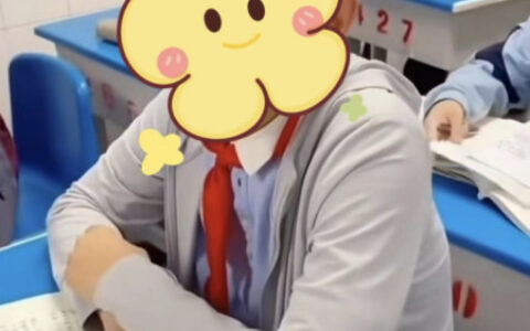 13岁学生成公司老板？学校回应并非法定代表人，律师解读（13岁ceo叫什么名字）