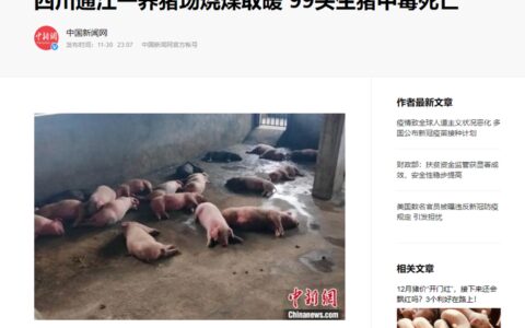 99头猪一夜死亡！现代化养猪场“摒弃”这些反而安全节能-生猪养殖正常死亡率是多少