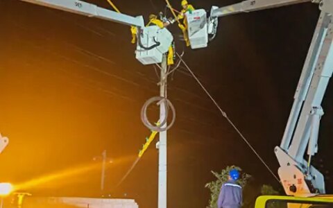 电力助力 智能化养猪为乡村振兴赋能-养猪智能化管理