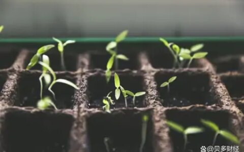 宜宾银行冲刺港交所上市：2022年收入约19亿元，五粮液为大股东-宜宾市银行网点大全