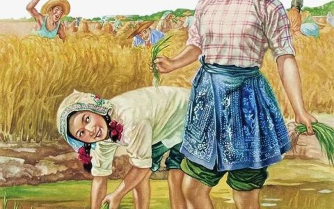 上百台收割机无法下高速？官方回应，网友：麦子发芽烂地里了！-2020年收割机可以上高速吗