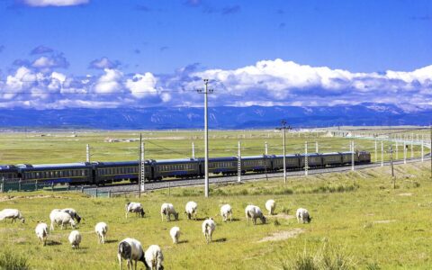 环游北疆旅游专列7月29首发，双层四人包厢9日游，每人仅4380元