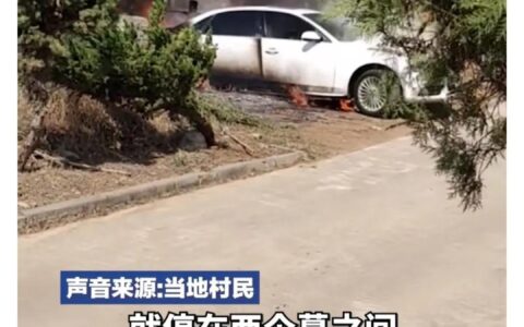开奥迪上坟，停墓地旁被烧成空壳（奥迪车主被焚烧）