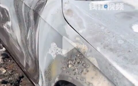 清明——山东枣庄车被烧成空壳（枣庄发生车祸）