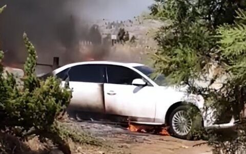 村民上坟不慎引发火灾，奥迪停墓地旁被烧成空壳00:09（因上坟引起火灾）