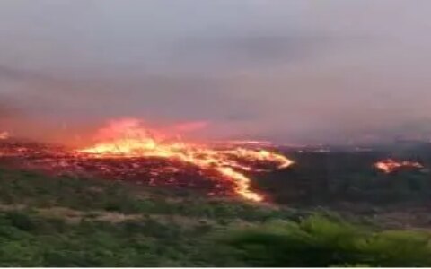 上坟祭祖酿火灾  触犯法律悔已晚（上坟引发火灾）
