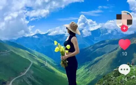 “距天空最近的花”被游客采摘 保护区：违规穿越将追责（背书包喘不过气）