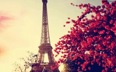 千万别这样自拍了……（别发自拍表情包）