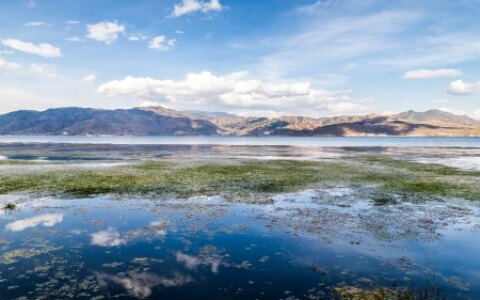 10个卖照片挣钱的网站！让你的爱好变现！-10个卖照片挣钱的网站!让你的爱好变现是真的吗