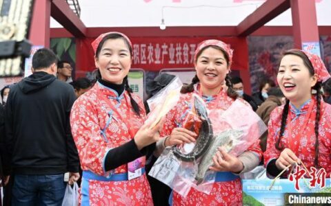 甘肃“村花”直播团的故事-甘肃网红村