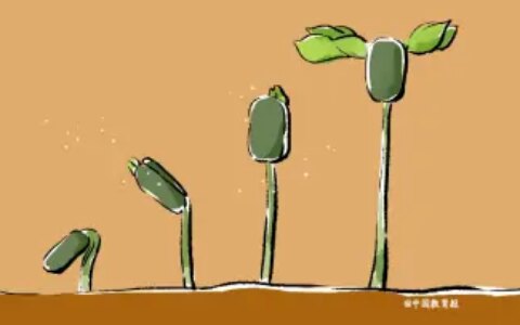 用心去温暖，用爱去陪伴——记河北河间市第九中学师生座谈制度-河间市第九中学怎么样