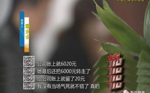 上海一财务把公司偷得只剩20块 害了儿子还毁了自己（财务偷公司钱是什么罪）