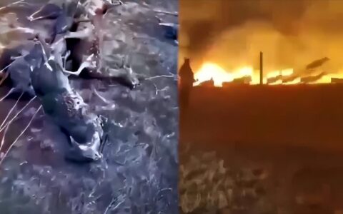 中蒙边境草原起火围栏挂满羊焦尸，为何不能把铁丝网打开呢？-中蒙边境自驾游最佳路线