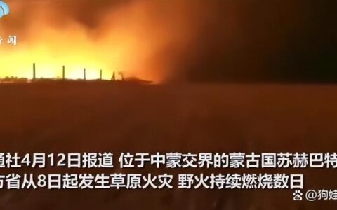 昨天美国死牛，今天中蒙边境草原起火 围栏挂满羊焦尸！-今天美国死亡病例是多少